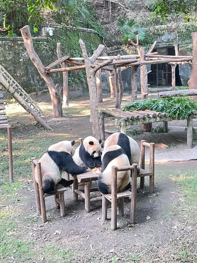 适合全家打卡的景点与亲子活动九游会J9重庆亲子游攻略：(图5)
