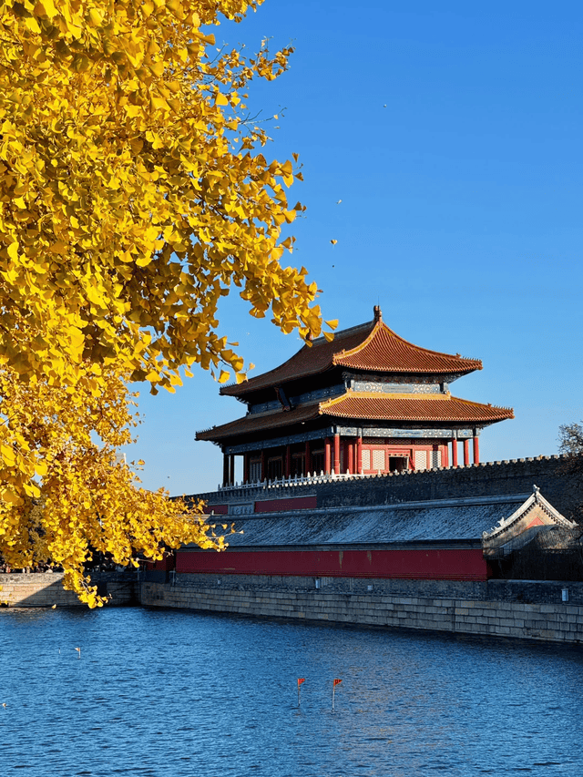亲子游路线简直堪称遛娃“神助攻”九游会惊了!北京正规十大旅行社(图2) 亲子游路线简直堪称遛娃“神助攻”九游会惊了!北京正规十大旅行社(图2)